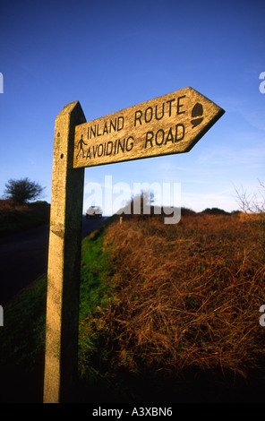 car changing lane over road marking arrows Stock Photo - Alamy