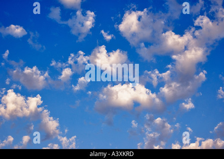 Cumulus Clouds Stock Photo