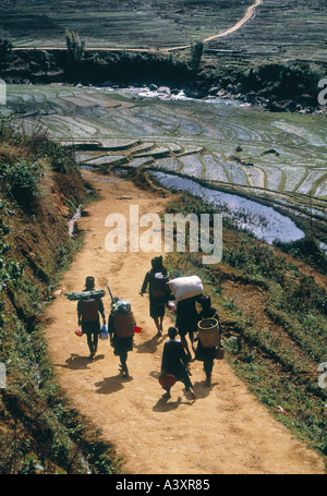 A group of Hmong, minority tribes people, walk home from the market through the rice paddy fields in SaPa, Northern Vietnam Stock Photo