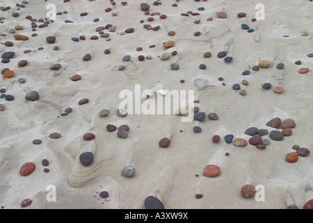 pebbles on sandy beach Stock Photo