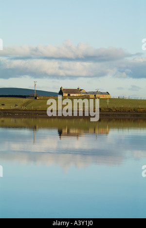 dh Bay of Firth FIRTH ORKNEY Farm on Holm of Grimbister island