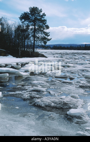 melting ice in lapland, Sweden, Lappland, Jelka Nationalreservat Stock Photo
