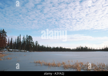 frozen up lake in winter, Sweden, Lappland, Muddus NP Stock Photo