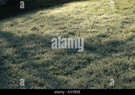 Frost covers a grass lawn on a sunny cold early morning winters day. Stock Photo