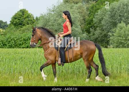 Young lady rider tölting on a Paso Fino Horse Stock Photo