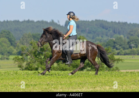 Girl galopping on back of an 'Icelandic horse' Stock Photo
