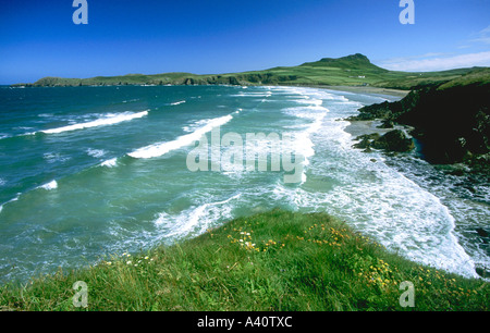 Whitesands Bay near St Davids surf surfing beach on sunny day Pembrokeshire National Park NP Wales Cymru UK GB Stock Photo