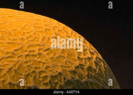 View of melon, looks like planet seen from space.  Black background, lit yellow Stock Photo