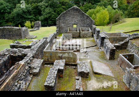 Remains of 19th century Bryntail Lead Mine below dam of Clywedog reservoir Powys Mid Wales UK Stock Photo