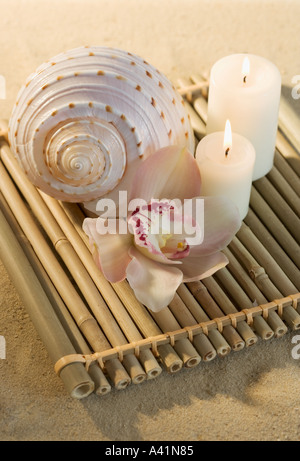 Still life of orchids candles and seashell Stock Photo