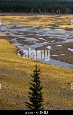 Patterns in Medicine Lake during low-water period, Jasper National Park, Alberta, Canada Stock Photo