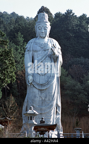 20m tall Kannon Bodhisattva statue towers above surrounding temple buildings at Tsubosaka dera temple Nara prefecture Japan Stock Photo