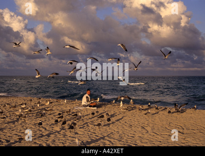 young man and birds on the beach Miami Beach Florida USA Stock Photo