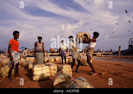 Fishermen loading nets at the seaside pier in Rameswaram in Ramanathapuram district Tamil Nadu state India Stock Photo