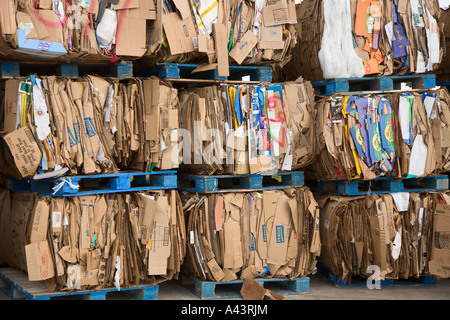 Crushed cardboard boxes bundled on pallets ready to be shipped for recycling Stock Photo