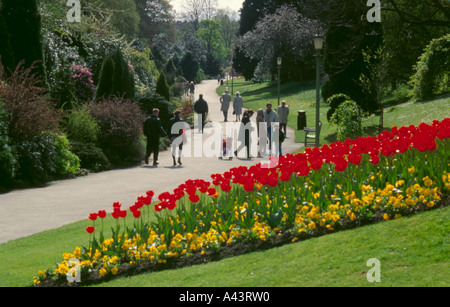 Valley Gardens in spring, Harrogate, North Yorkshire, England, UK. Stock Photo