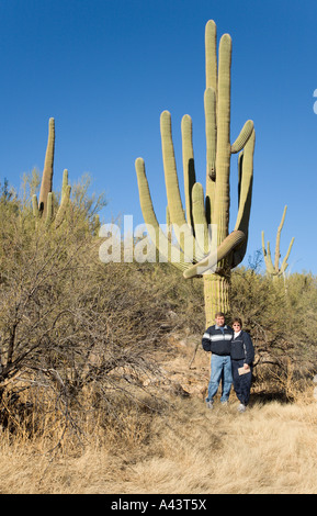 Adult couple standing in front of large Saguaro cactus in desert at Catalina State Park near Tucson, Arizona, USA Stock Photo