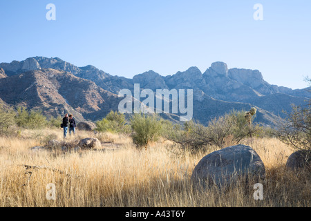 Adult couple hiking in open range desert in Catalina State Park near Tucson, Arizona, USA Stock Photo
