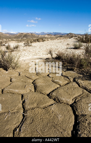 Dried out riverbed in the so called badlands of the southern Spanish province of Almeria Stock Photo