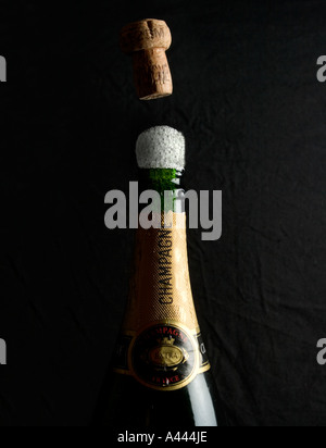 Champagne cork popping from a bottle of champagne Stock Photo