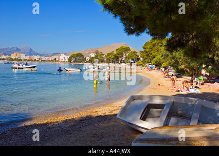 BEACH AT THE PINE WALKWAY PUERTO POLLENSA IN AUGUST Stock Photo