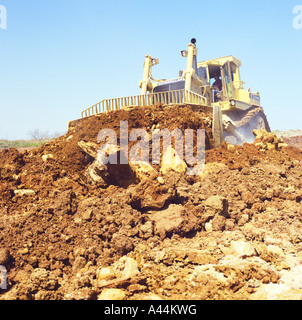 Cat bulldozer Stock Photo