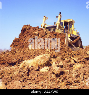 Cat bulldozer Stock Photo