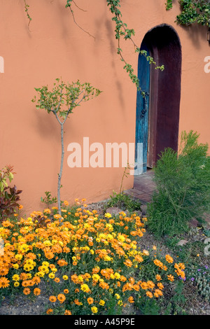 Plants flowers and trees adorn the entrance of a house in Mesilla New Mexico a popular destination for tourists Stock Photo