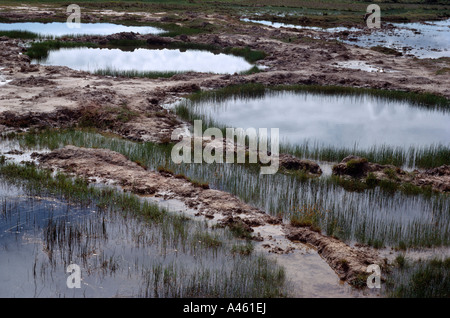 Vietnam War Southeast Asia Laos Bomb craters from US B52 bombing raids Stock Photo