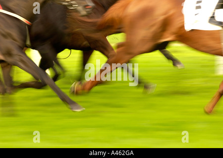 Racehorses in motion, detail, closeup view Stock Photo