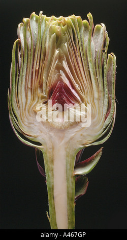 A cut in half globe artichoke on a black background Stock Photo