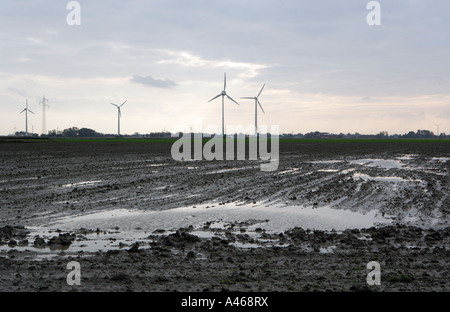 DEU Germany Schleswig Holstein Inundation in a field behind the dyke at the North Sea Stock Photo