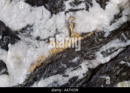 High grade sample of gold ore from underground mine, Ghana, West Africa Stock Photo