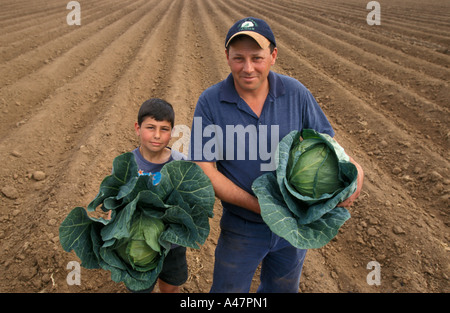 Farmer and Son with Cabbage Crop, New South Wales, Australia Stock Photo