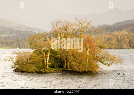 Small island in Lake Windermere, Cumbria, England, UK Stock Photo