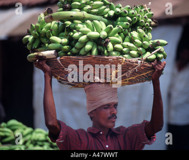 A man carrying a basket of bananas on his head in the market at Mysore in South India Stock Photo