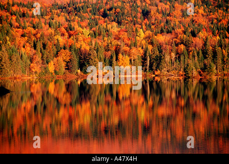 Autumn trees reflected in a lake in Quebec Stock Photo