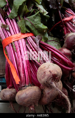 Greece Crete Fresh Beetroot on sale Chania Old Town street market Stock Photo