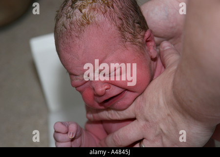 Newborn baby immediately after birth being weighed and measured Stock Photo