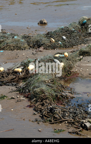 Gill net washed up on Angle Bay Milford Haven Pembrokeshire Wales UK Europe Stock Photo