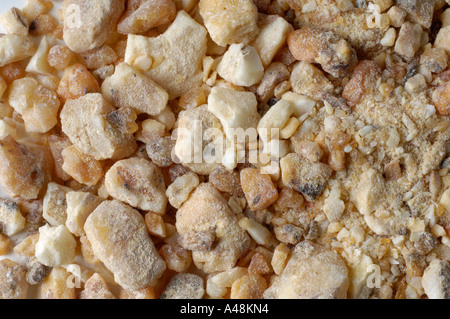 Gum Benzoin Stock Photo