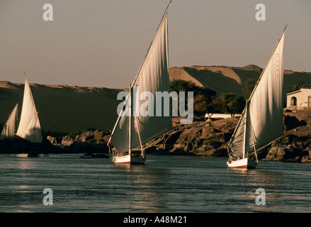 Feluccas on the nile close to the cataracts at Aswan Stock Photo