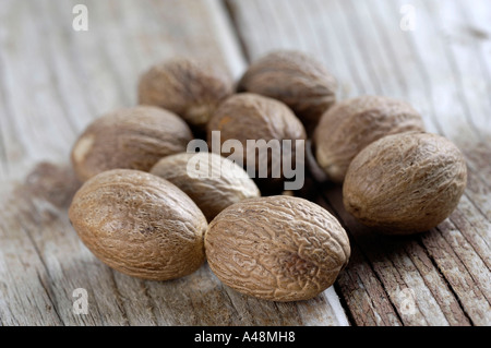 Nutmeg Stock Photo