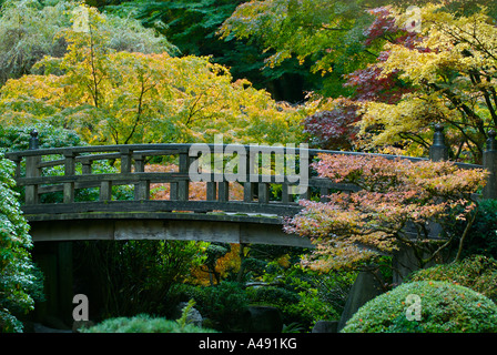 Autumn colours and a strolling bridge in a Japanese garden Stock Photo