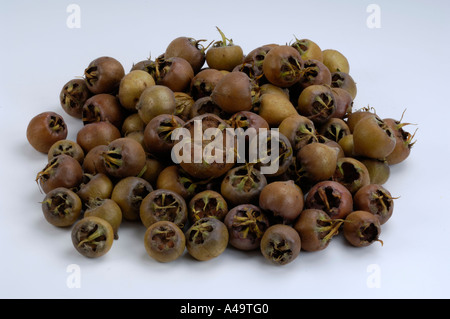 Medlar Stock Photo