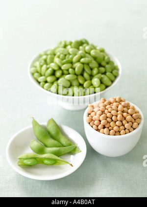 Soy Stock Photo