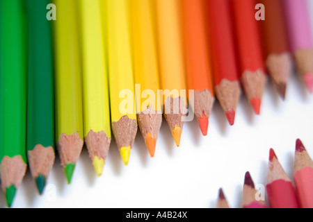 coloured pencils arranged in rows on a white background Stock Photo