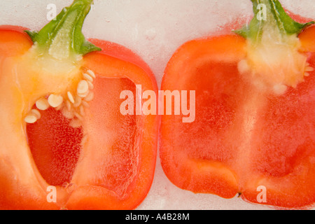 Close-up of two red pepper halves showing the inside with seeds frozen in ice Stock Photo