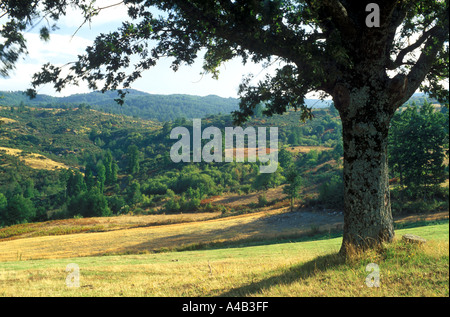 Pollino National Park in Autumn, Calabria, Italy Stock Photo