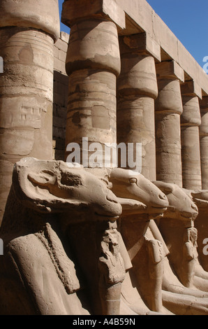 Ram-headed sphinxes in the forecourt of the Temple of Amun in Karnak near Luxor (Thebes), Egypt. Stock Photo